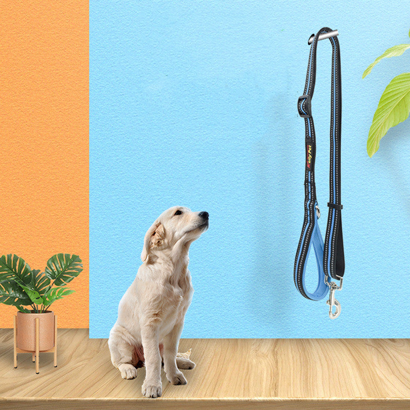 Pet Nylon Assisted Retractable Control Leash