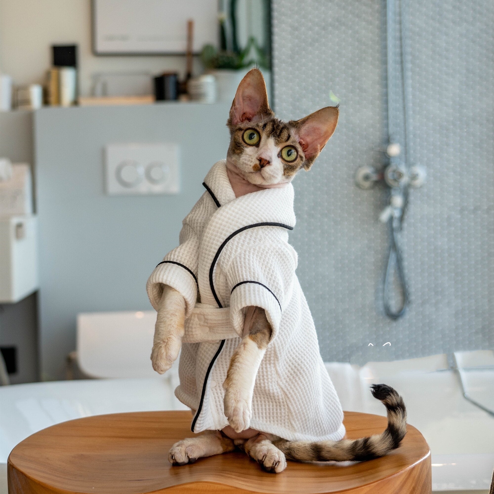 Pet Bathrobe And Bath Towel Soft Highly Absorbent
