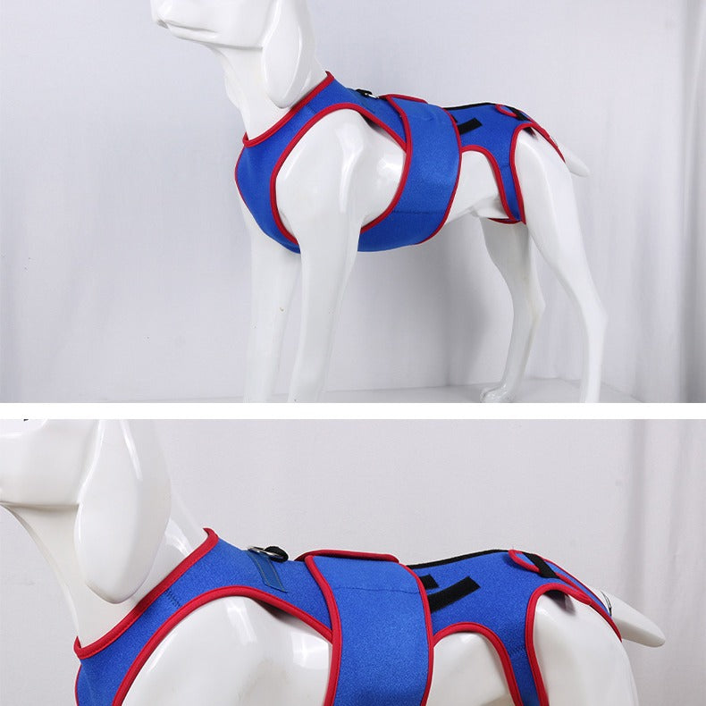 Pet Spine Support Posture Correction Jacket Apparel