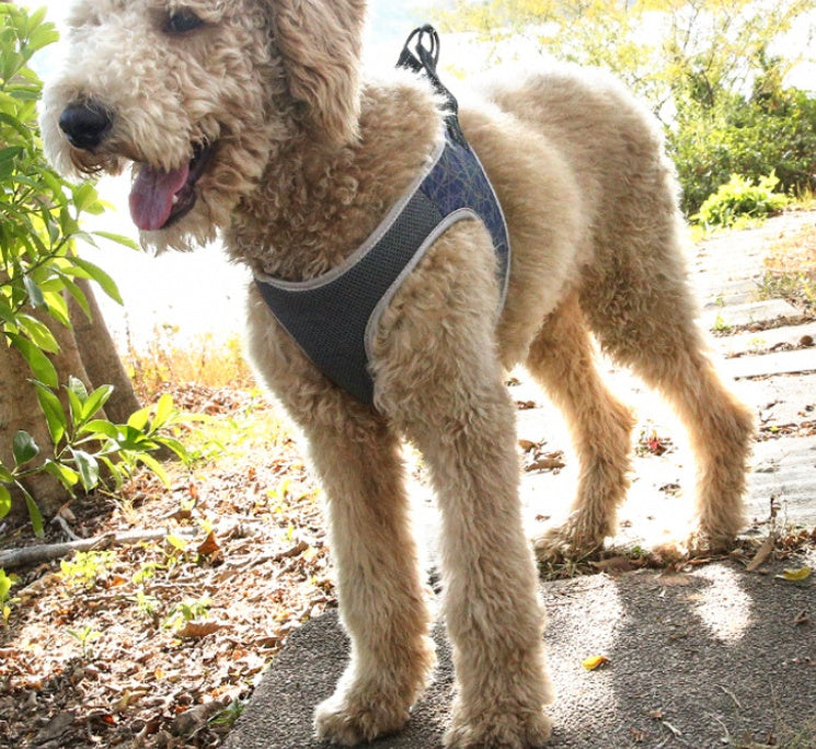 Pet Vest Harness Anti Pull Leash Control Set