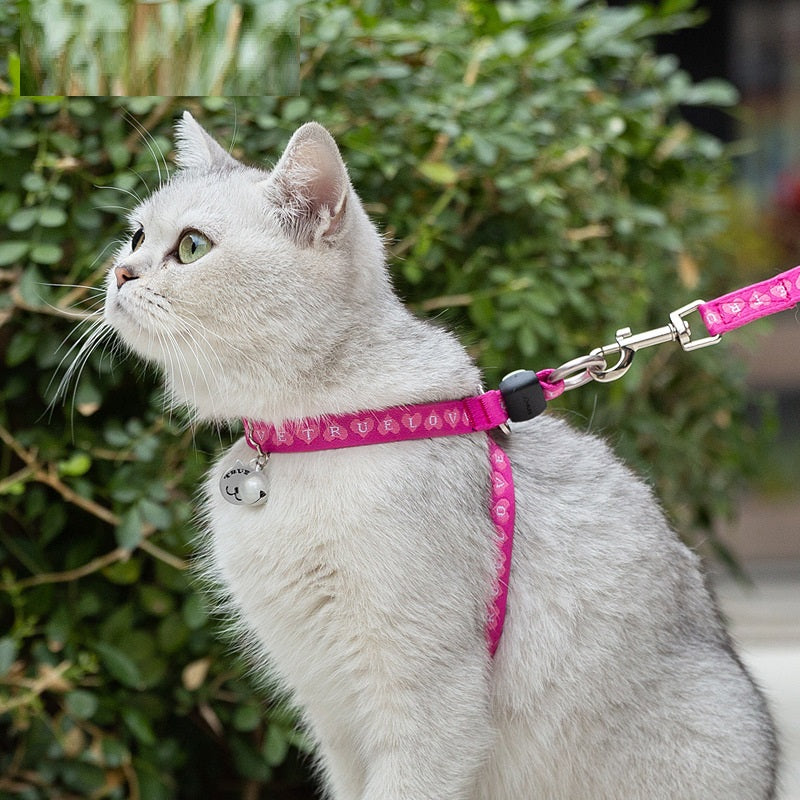 Pet Bell Chest Strap Vest Leash Control Harness Set