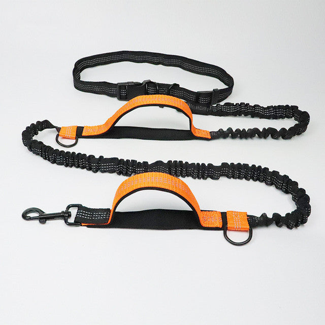 Pet Adjustable Jogging Harness Collar Leash Set