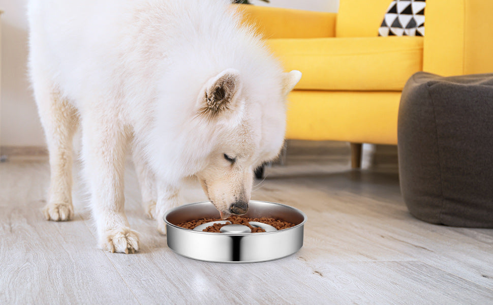 Pet Stainless Steel Slow Feeding Bowl Neck Support System